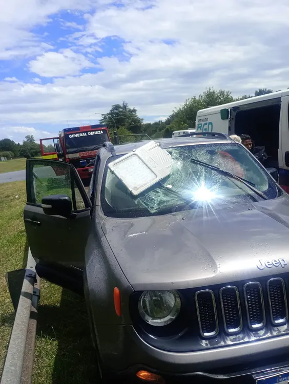 fc749fca-7e74-47e5-aa77-0850fe80a969