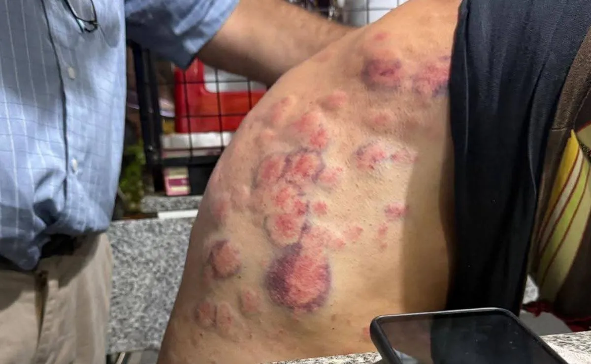 b72c0e1c-da97-4655-b8f7-c32b4aaf4db2