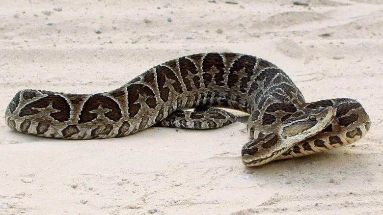 211992_1771946173_303