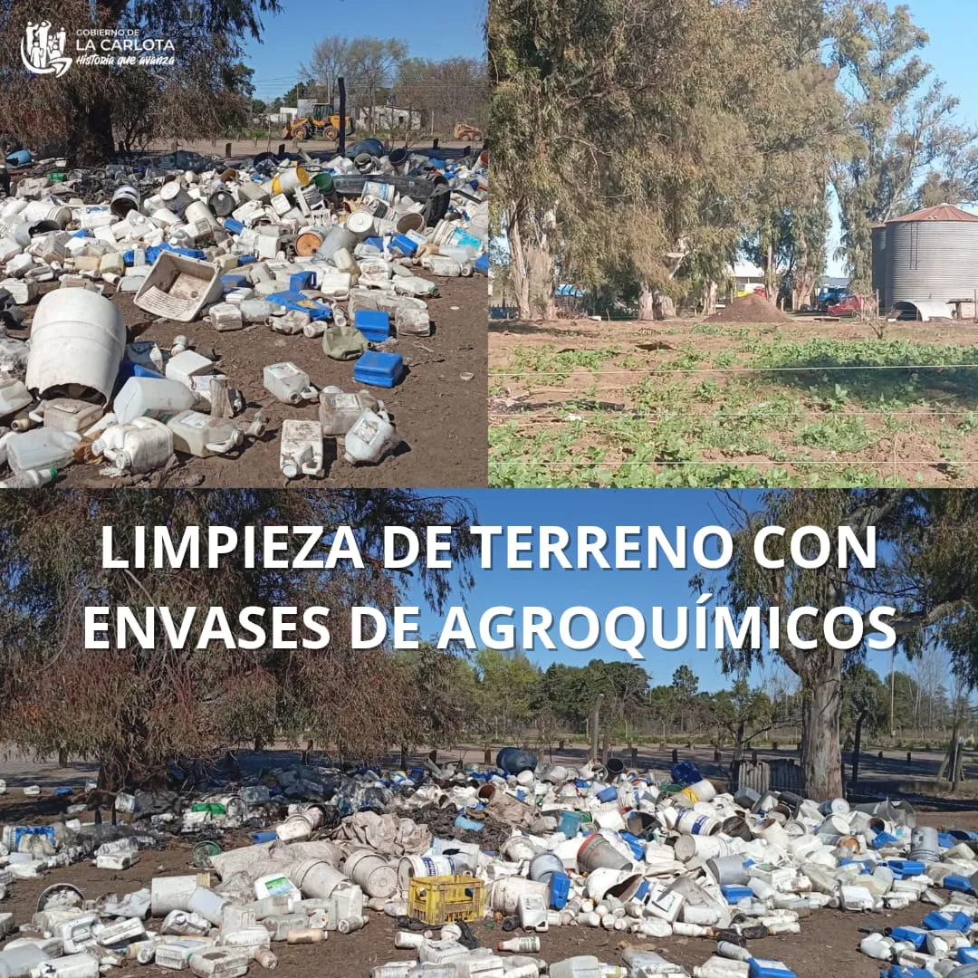 limpieza