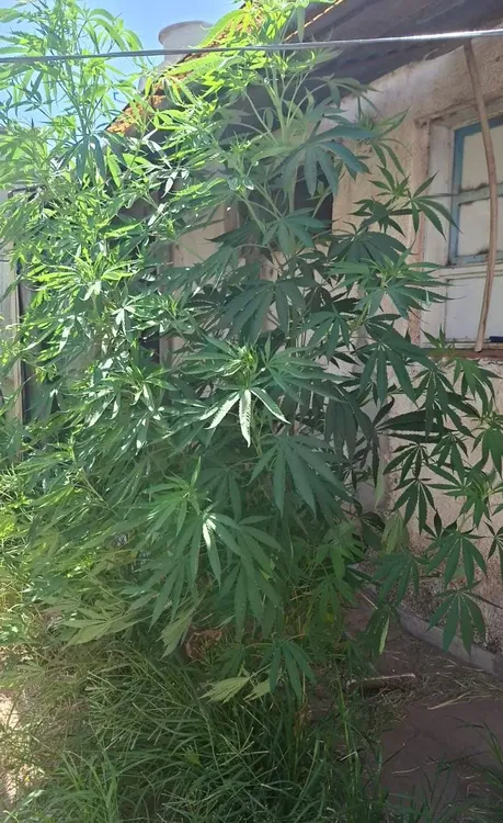 07cc387f-31e1-4fa6-826b-dfb9820fd025