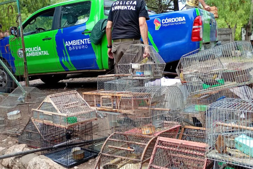 WhatsApp-Image-2026-02-16-at-14.20.18-1024x683