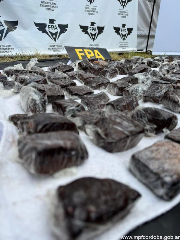 WhatsApp-Image-2026-02-14-at-5.47.12-PM-705x940