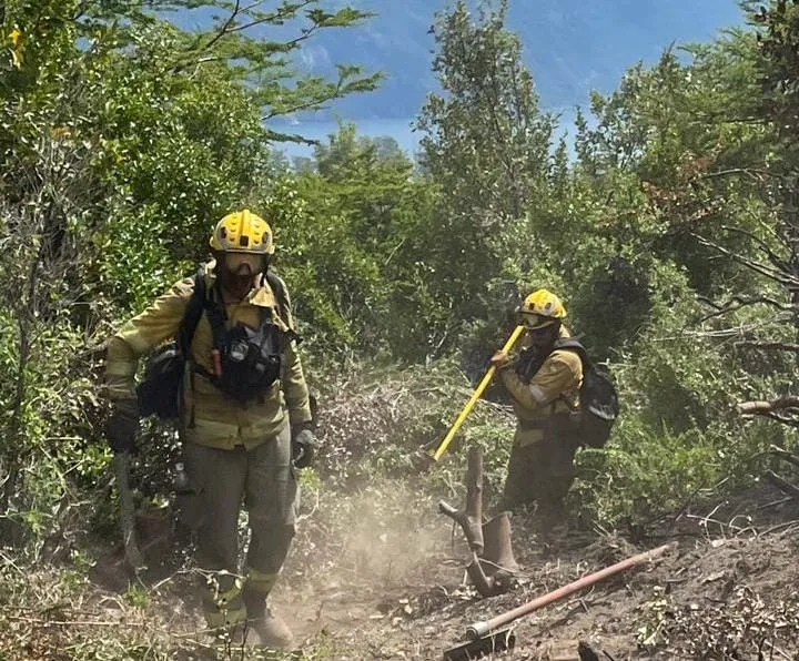 WhatsApp-Image-2024-02-02-at-16.59.33