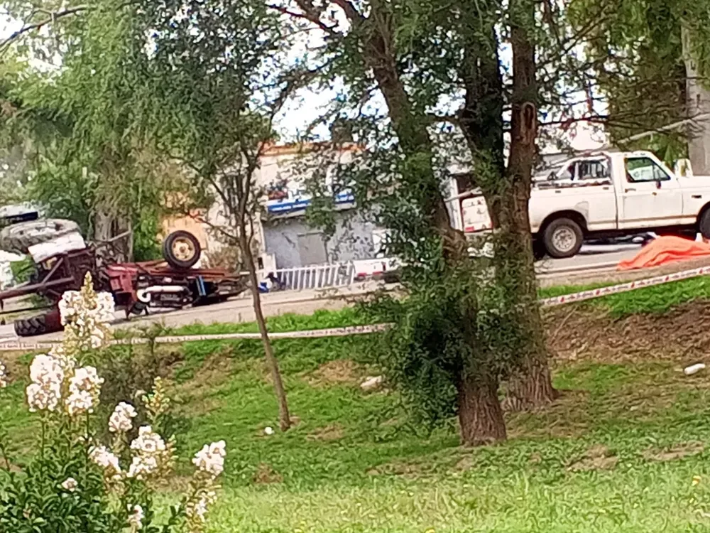 8d0135a2-00b7-4225-9954-d82d11afb8b9