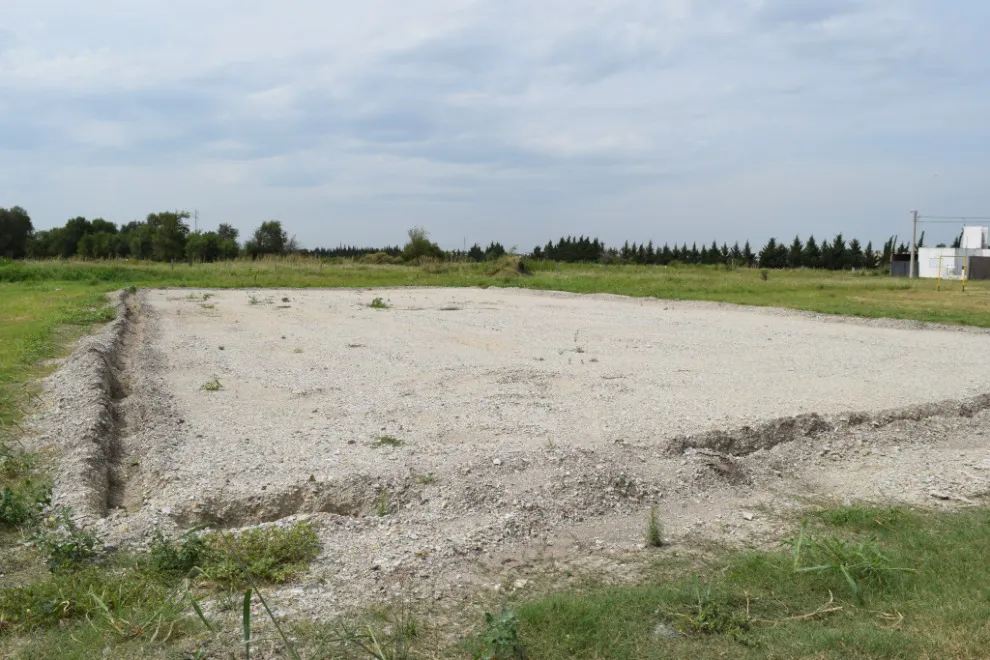 WhatsApp-Image-2024-02-12-at-10.02.49