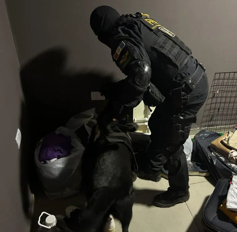 WhatsApp-Image-2025-11-14-at-13.31.55-2-768x752