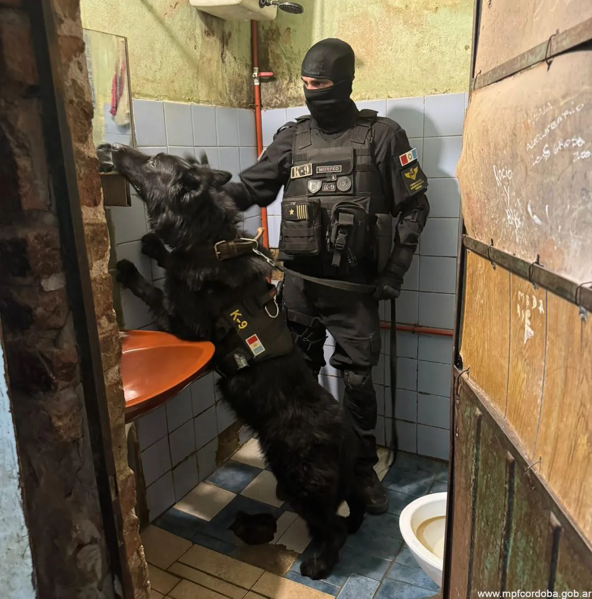 WhatsApp-Image-2025-11-20-at-09.54.20