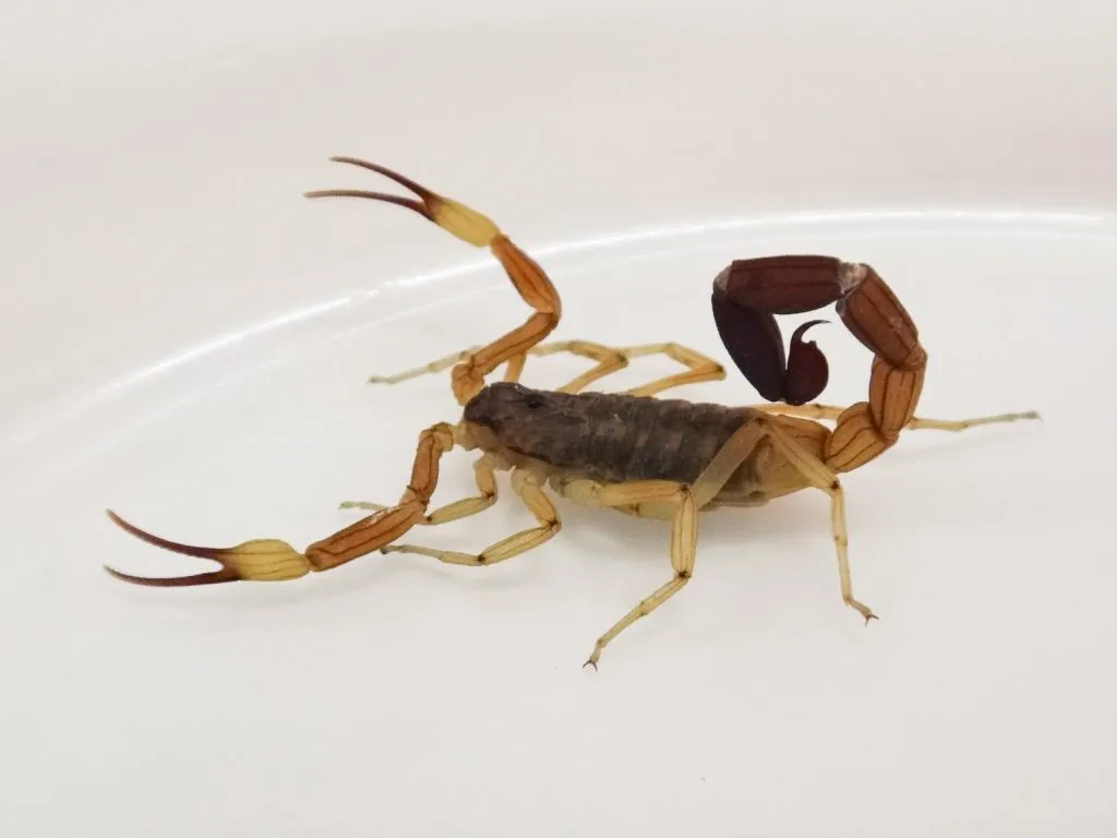 WhatsApp-Image-2024-02-09-at-17.30.38-1024x768