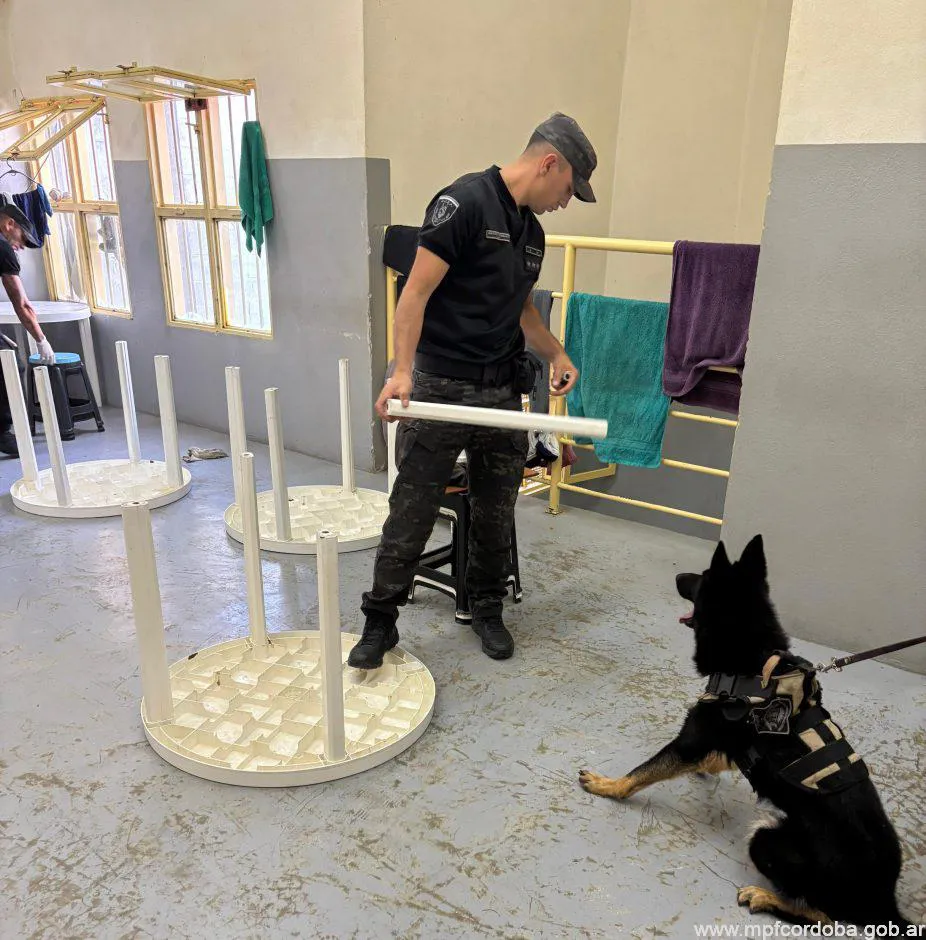 IMG-20251216-WA0103-926x940