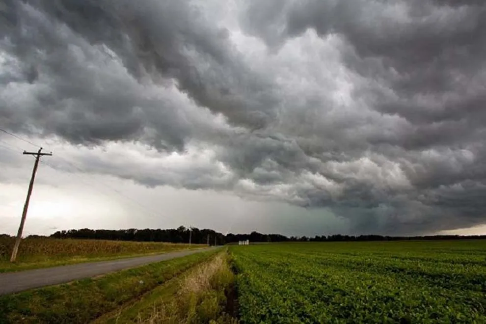 WhatsApp-Image-2026-01-07-at-19.27.50