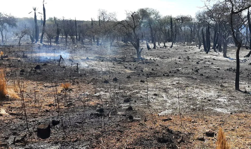 Incendio-Tulumba-1